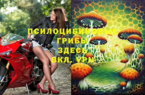 дмт Абдулино