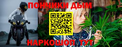 СК Краснодар