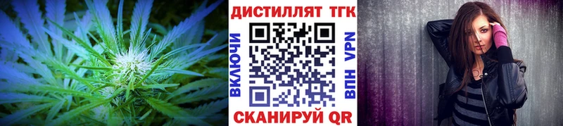ТГК концентрат Шали