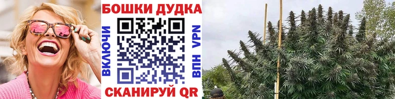 купить наркотик Шали Каннабис семена