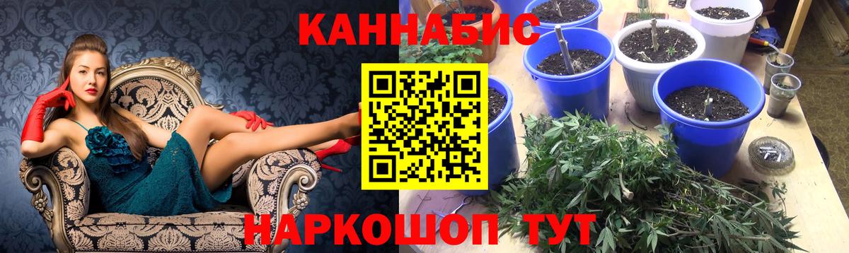 Шишки марихуана тримм  Канабис план  Канабис план  Вход с VPN  Шали 
